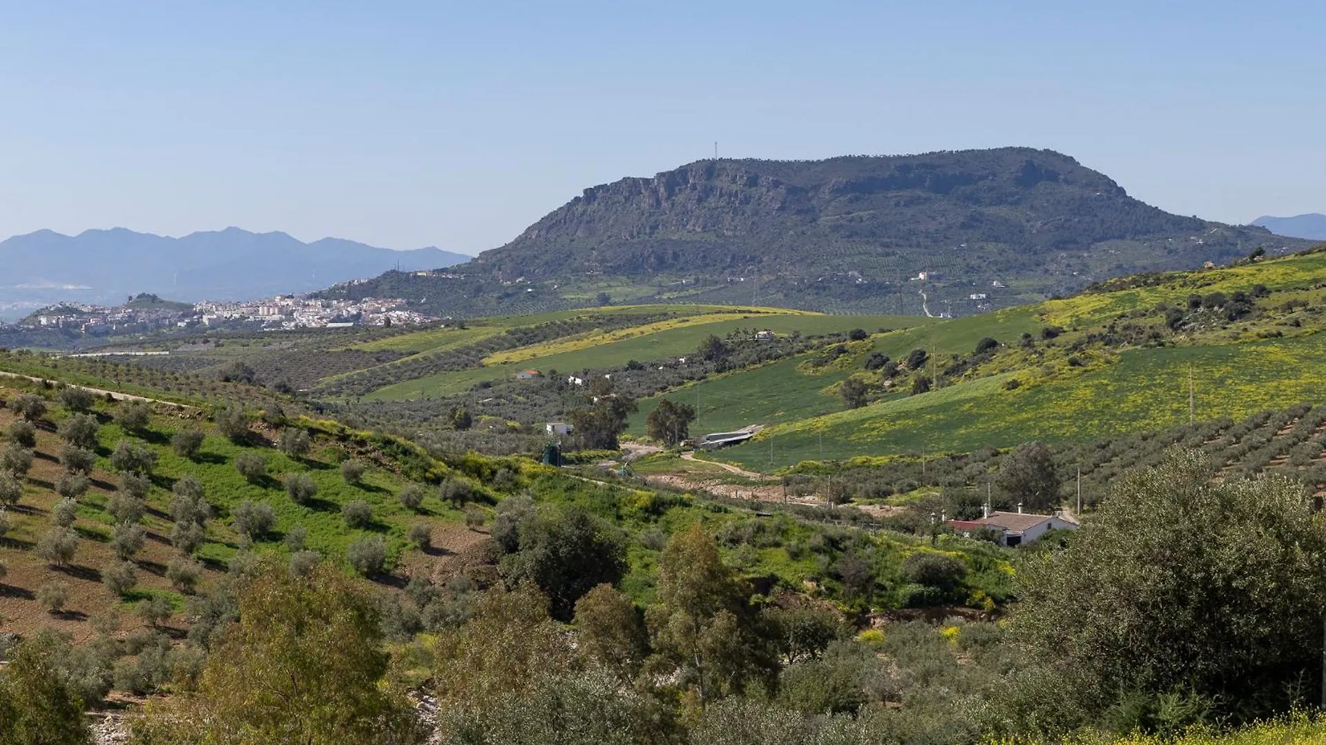 فندق مبيت وإفطار Boutique B&B Cortijo Valverde ألورا إسبانيا