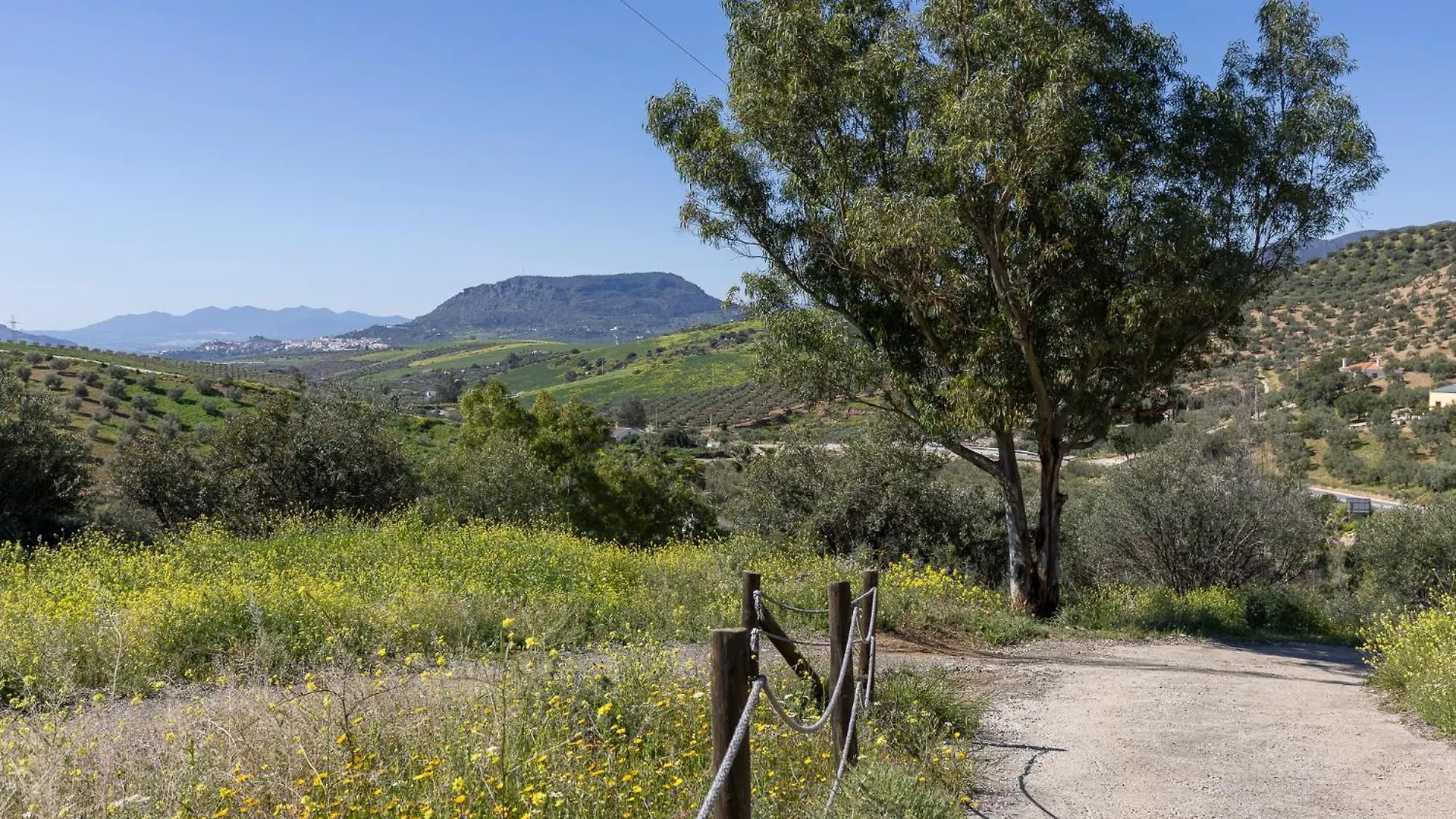 Boutique B&B Cortijo Valverde ألورا فندق مبيت وإفطار