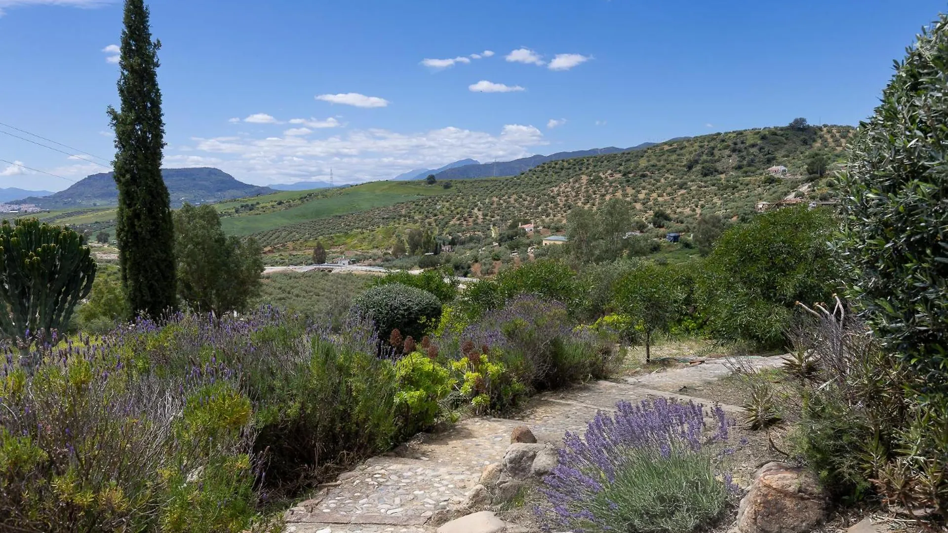 Boutique B&B Cortijo Valverde Alora 0*,